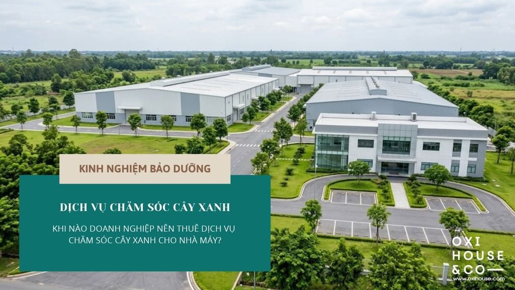 KHI NÀO DOANH NGHIỆP NÊN THUÊ DỊCH VỤ CHĂM SÓC CÂY XANH CHO NHÀ MÁY?