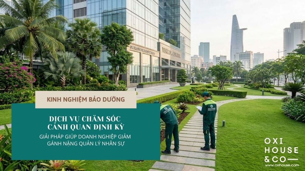 DỊCH VỤ CHĂM SÓC CẢNH QUAN ĐỊNH KỲ: GIẢI PHÁP GIÚP DOANH NGHIỆP GIẢM GÁNH NẶNG QUẢN LÝ NHÂN SỰ