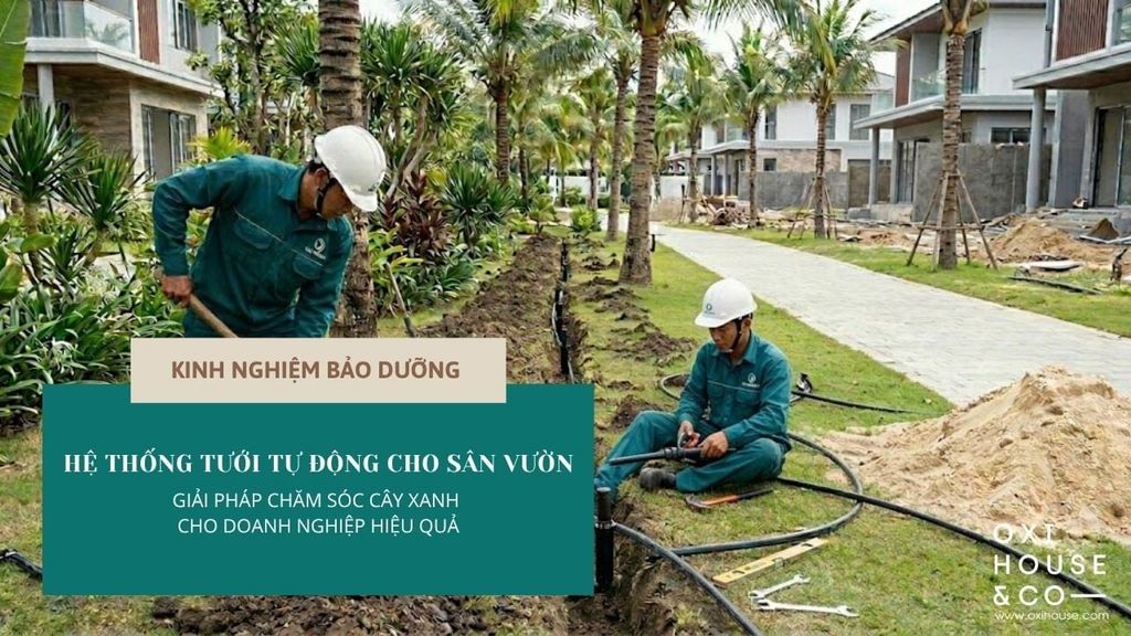 HỆ THỐNG TƯỚI TỰ ĐỘNG CHO SÂN VƯỜN – GIẢI PHÁP CHĂM SÓC CÂY XANH CHO DOANH NGHIỆP HIỆU QUẢ