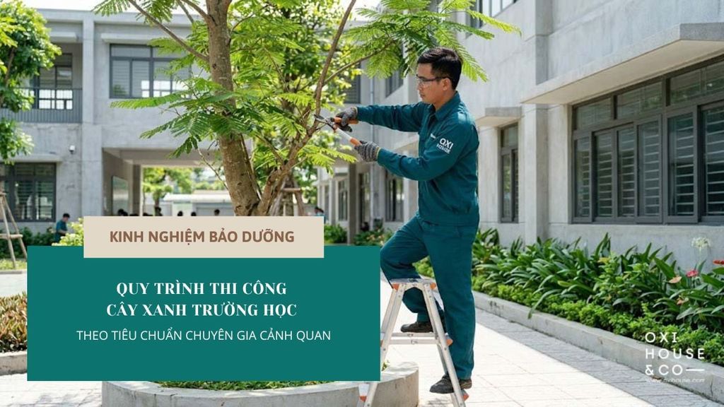 QUY TRÌNH THI CÔNG CÂY XANH TRƯỜNG HỌC THEO TIÊU CHUẨN CHUYÊN GIA CẢNH QUAN