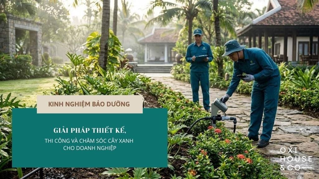 GIẢI PHÁP THIẾT KẾ, THI CÔNG VÀ CHĂM SÓC CÂY XANH CHO DOANH NGHIỆP F&B | OXI HOUSE