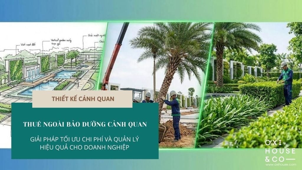 THUÊ NGOÀI BẢO DƯỠNG CẢNH QUAN: GIẢI PHÁP TỐI ƯU CHI PHÍ VÀ QUẢN LÝ HIỆU QUẢ CHO DOANH NGHIỆP