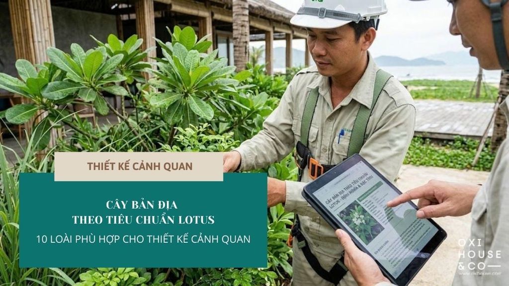 CÂY BẢN ĐỊA THEO TIÊU CHUẨN LOTUS: 10 LOÀI PHÙ HỢP CHO THIẾT KẾ CẢNH QUAN