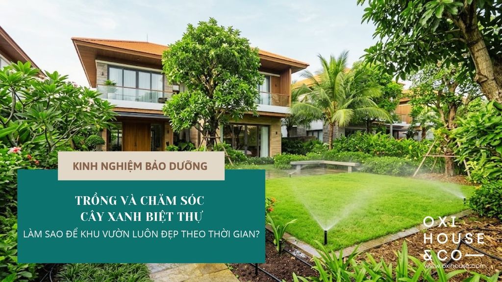 TRỒNG VÀ CHĂM SÓC CÂY XANH BIỆT THỰ: LÀM SAO ĐỂ KHU VƯỜN LUÔN ĐẸP THEO THỜI GIAN?