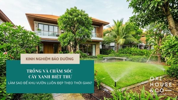 TRỒNG VÀ CHĂM SÓC CÂY XANH BIỆT THỰ: LÀM SAO ĐỂ KHU VƯỜN LUÔN ĐẸP THEO THỜI GIAN?