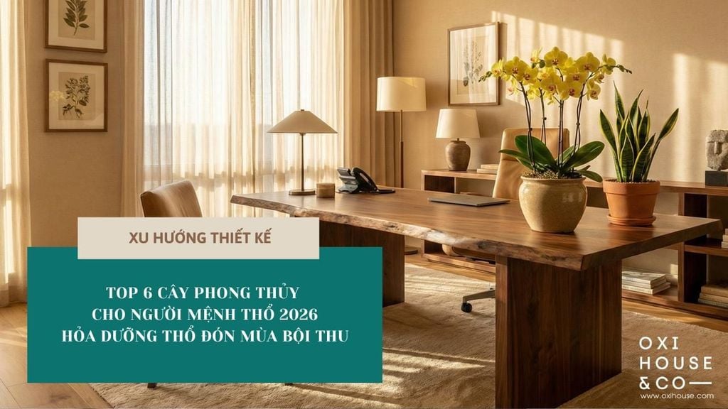 TOP 6 CÂY PHONG THỦY CHO NGƯỜI MỆNH THỔ 2026: HỎA DƯỠNG THỔ ĐÓN MÙA BỘI THU