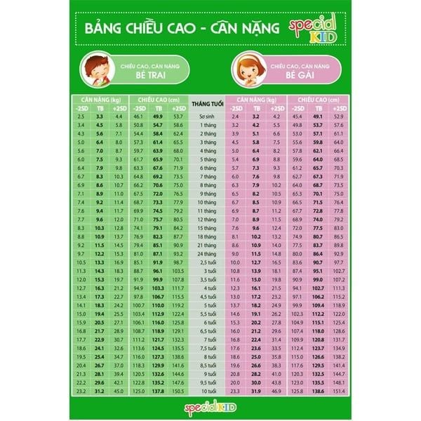 Bảng chiều cao cân nặng chuẩn theo từng độ tuổi của bé