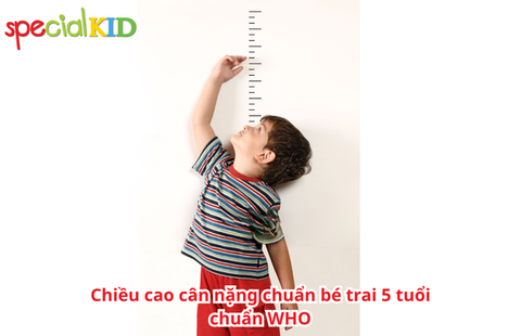 Chiều cao cân nặng chuẩn bé trai 5 tuổi chuẩn