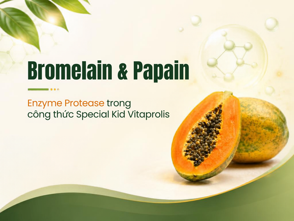 Bromelain và Papain - Enzyme Protease trong công thức Special Kid Vitaprolis