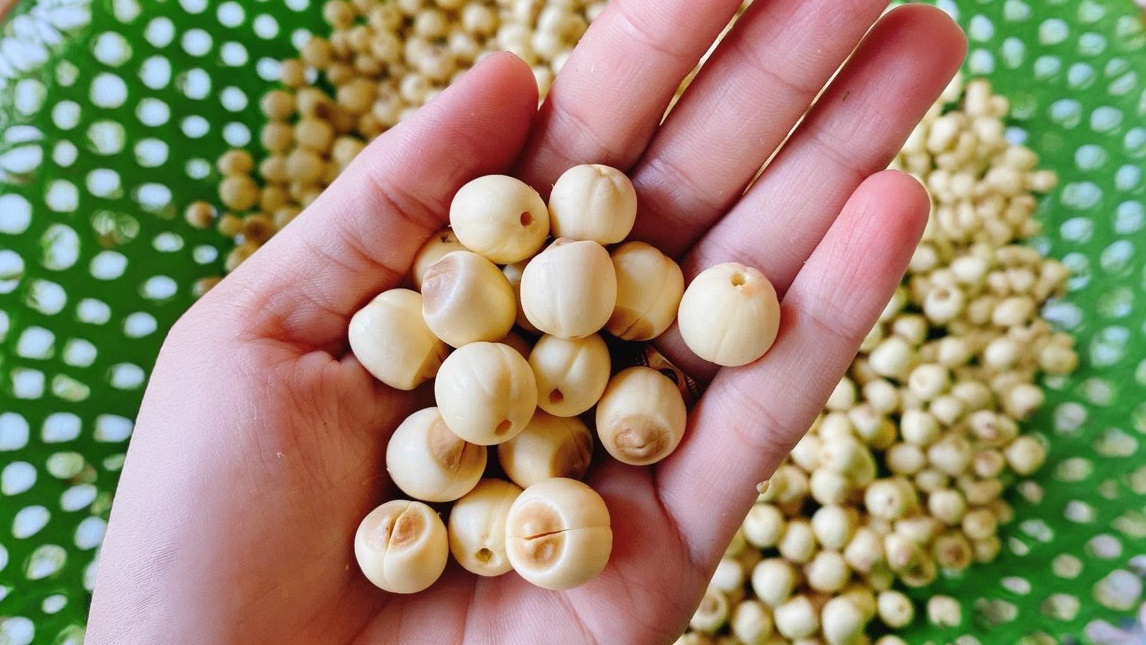 Hạt sen tốt như thế nào cho sức khỏe?