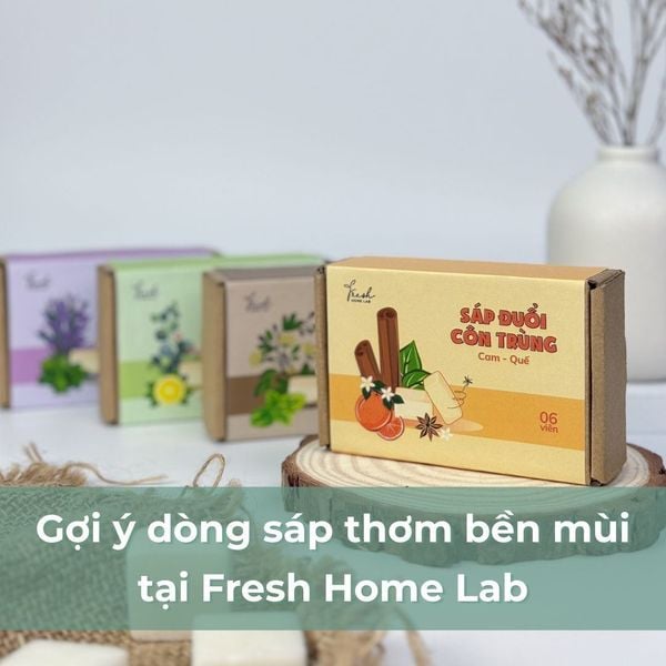 Gợi ý dòng sáp thơm bền mùi tại Fresh Home Lab