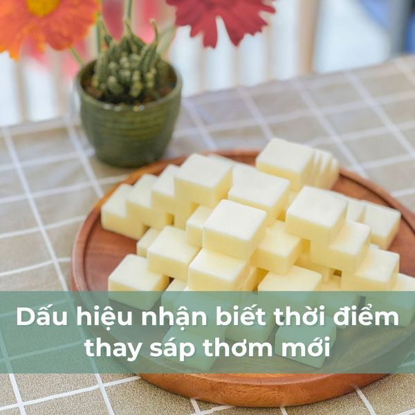 dấu hiệu nhận biết khi nào phải thay sáp mới