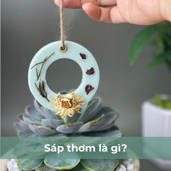 Sáp thơm đuổi côn trùng là gì