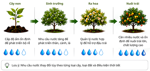 Câu đố kiến thức: Khi nào là thời điểm tốt nhất để tưới cây trong ngày hè? Câu đố kiến thức: Khi nào là thời điểm tốt nhất để tưới cây trong ngày hè?