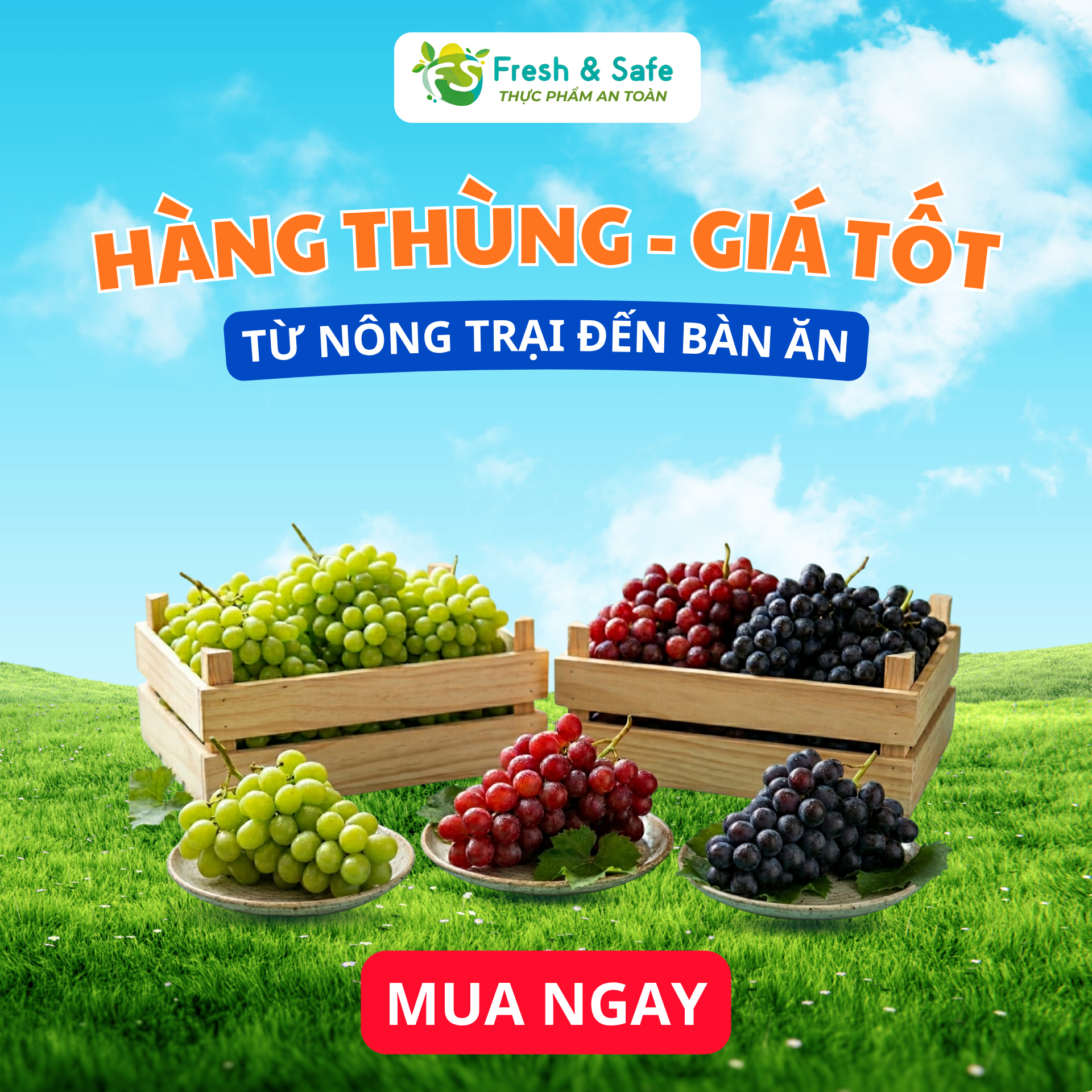 HÀNG THÙNG - GIÁ TỐT