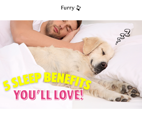 Top 5 Benefits of Sleeping Next to Your Dog – Even Science Agrees!