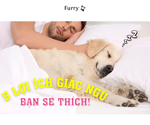 Top 5 Lợi Ích Khi Ngủ Chung Với Chó Cưng – Khoa Học Cũng Đồng Ý!