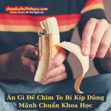 Ăn Gì Để Chim To Bí Kíp Dũng Mãnh Chuẩn Khoa Học