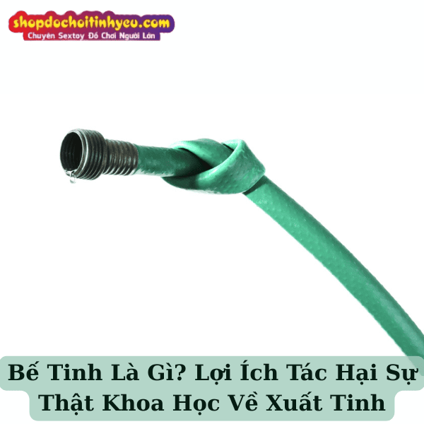 Bế Tinh Là Gì? Lợi Ích Tác Hại Sự Thật Khoa Học Về Xuất Tinh