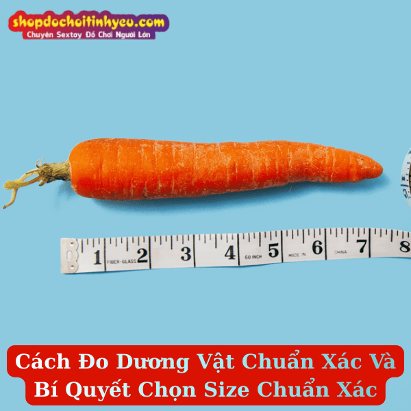 Cách Đo Dương Vật Chuẩn Xác Và Bí Quyết Chọn Size Chuẩn Xác