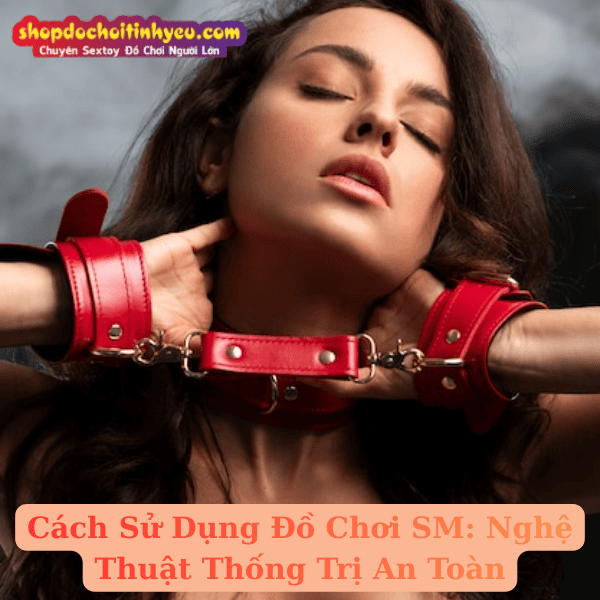 Cách Sử Dụng Đồ Chơi SM: Nghệ Thuật Thống Trị An Toàn