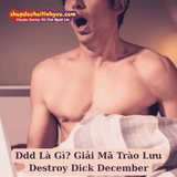 Ddd Là Gì? Giải Mã Trào Lưu Destroy Dick December