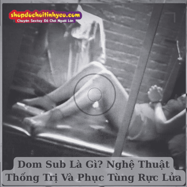 Dom Sub Là Gì? Nghệ Thuật Thống Trị Và Phục Tùng Rực Lửa