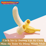 Cách Xử Lý Dương Vật Bị Chảy Máu An Toàn Và Dũng Mãnh Nhất