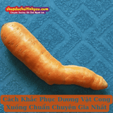 Cách Khắc Phục Dương Vật Cong Xuống Chuẩn Chuyên Gia Nhất