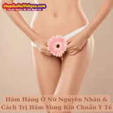 Hăm Háng Ở Nữ Nguyên Nhân & Cách Trị Hăm Vùng Kín Chuẩn Y Tế