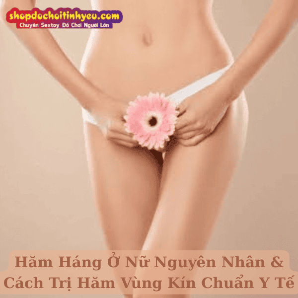 Hăm Háng Ở Nữ Nguyên Nhân & Cách Trị Hăm Vùng Kín Chuẩn Y Tế