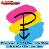 Pansexual Là Gì? 4 Dấu Hiệu Nhận Biết & Bản Chất Toàn Tính