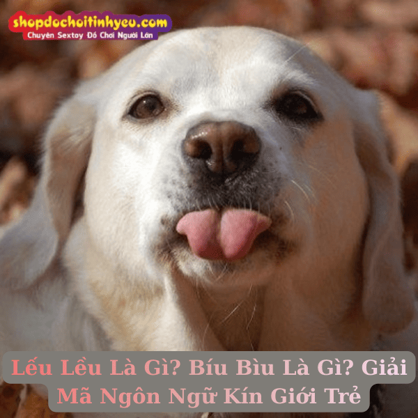 Lếu Lều Là Gì? Bíu Bìu Là Gì? Giải Mã Ngôn Ngữ Kín Giới Trẻ