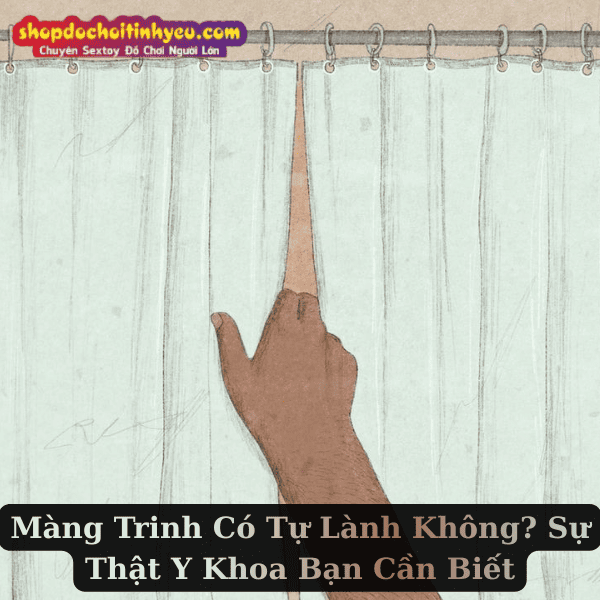Màng Trinh Có Tự Lành Không? Sự Thật Y Khoa Bạn Cần Biết