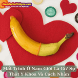Mất Trinh Ở Nam Giới Là Gì? Sự Thật Y Khoa Và Cách Nhận