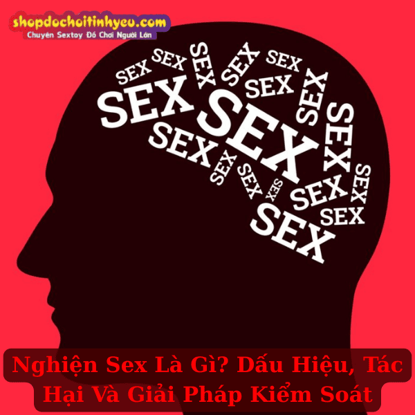 Nghiện Sex Là Gì? Dấu Hiệu, Tác Hại Và Giải Pháp Kiểm Soát