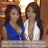 Pga Là Gì? Bóc Tách Mặt Sáng, Mặt Tối Và Góc Nhìn Pháp Luật