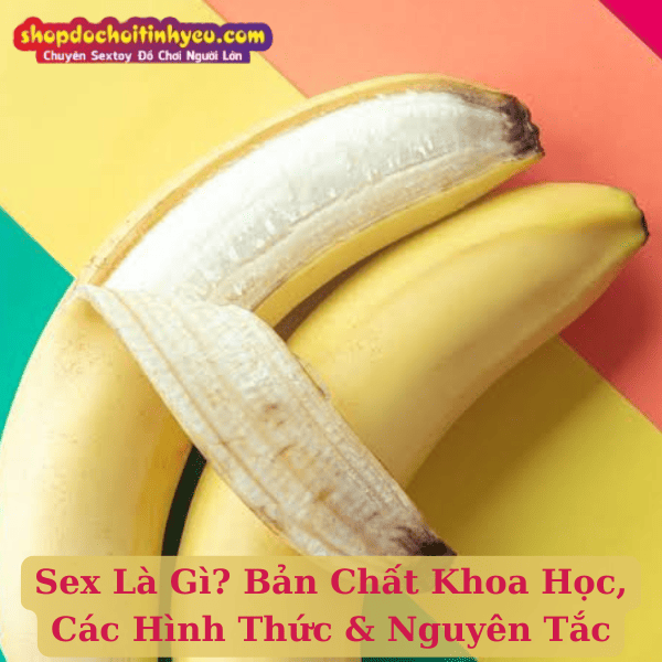 Sex Là Gì? Bản Chất Khoa Học, Các Hình Thức & Nguyên Tắc