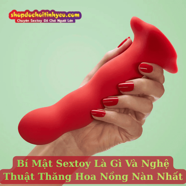 Sextoy Là Gì? Tổng Hợp Các Loại Sextoy Được Giới Trẻ Sử Dụng