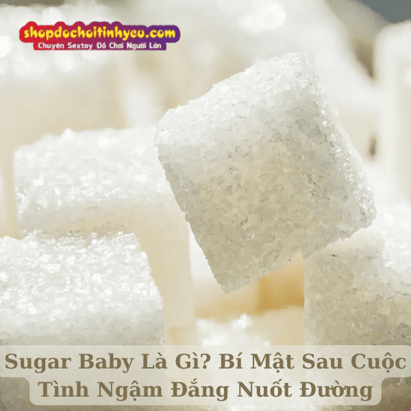 Sugar Baby Là Gì? Bí Mật Sau Cuộc Tình Ngậm Đắng Nuốt Đường