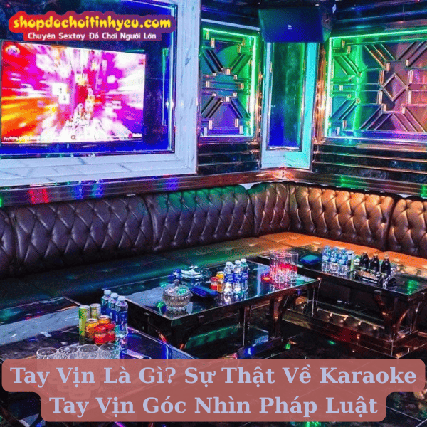 Tay Vịn Là Gì? Sự Thật Về Karaoke Tay Vịn Góc Nhìn Pháp Luật