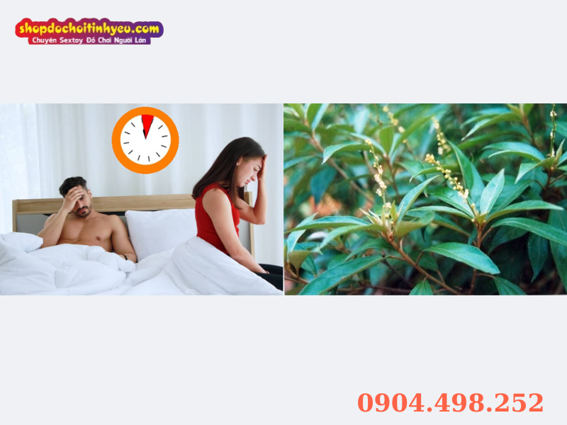 Chữa Xuất Tinh Sớm Bằng Đông Y: Giải Pháp Bền Vững