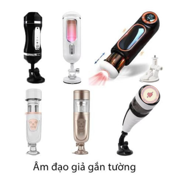 Âm đạo giả gắn tường