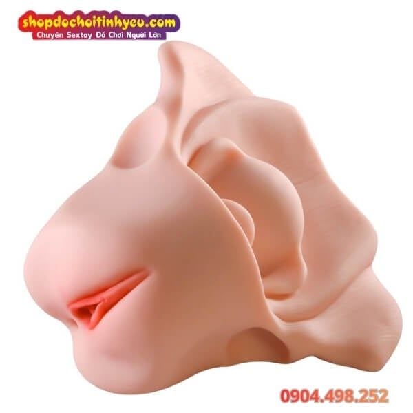 Âm Đạo Tử Cung Giả Thiết Kế Hình Dạng Xương Chậu Nữ Giới