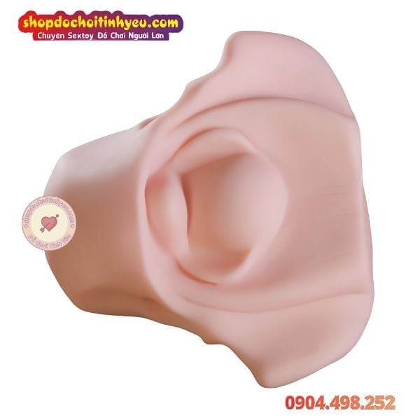 Âm Đạo Tử Cung Giả Thiết Kế Hình Dạng Xương Chậu Nữ Giới