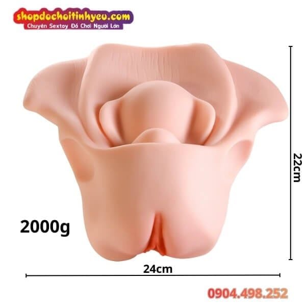 Âm Đạo Tử Cung Giả Thiết Kế Hình Dạng Xương Chậu Nữ Giới