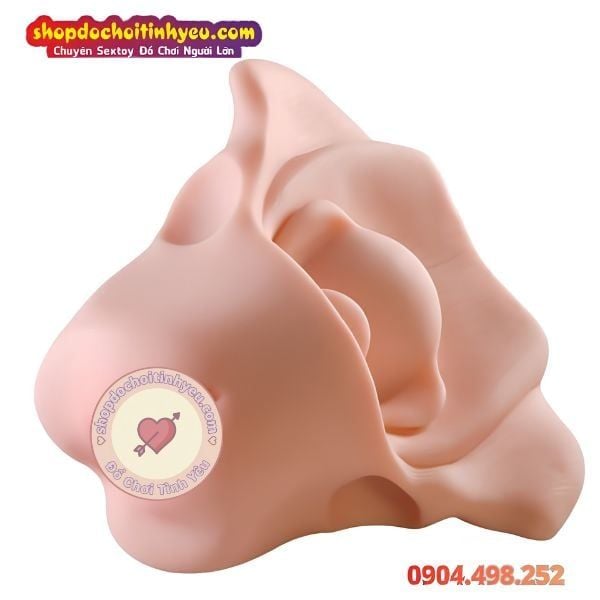 Âm Đạo Tử Cung Giả Thiết Kế Hình Dạng Xương Chậu Nữ Giới