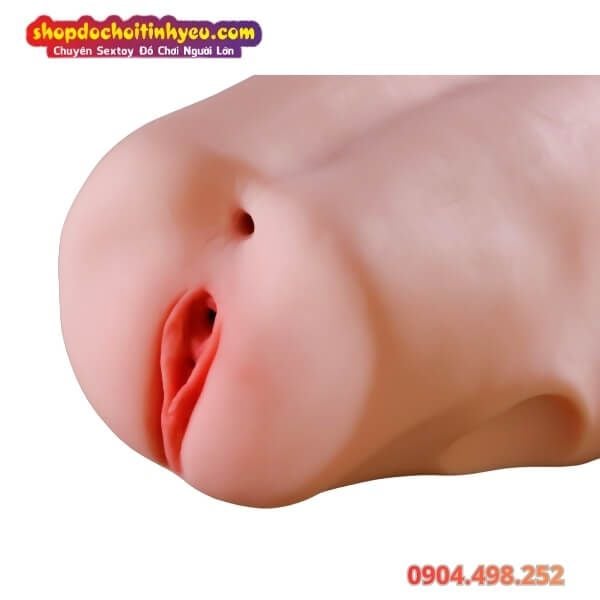 Âm Đạo Tử Cung Giả Thiết Kế Hình Dạng Xương Chậu Nữ Giới