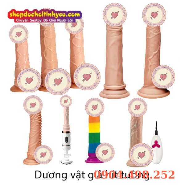 Dương vật giả gắn tường