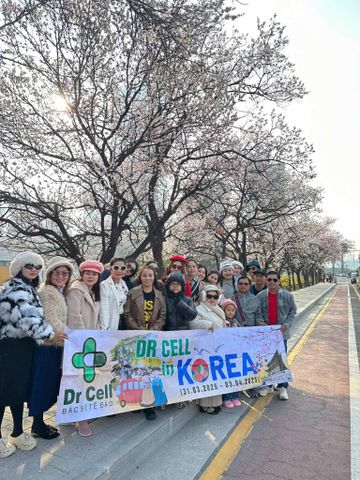 Dr Cell Du Lịch Hàn Quốc – Hành Trình Gắn Kết Cùng Những Thành Viên Xuất Sắc